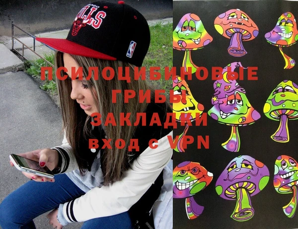 PSILOCYBIN Баксан
