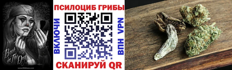 как найти закладки  MEGA ссылки  Псилоцибиновые грибы Magic Shrooms  Гвардейск 